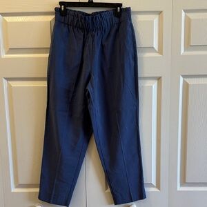 Ann Taylor Women's Deep Blue Chinos